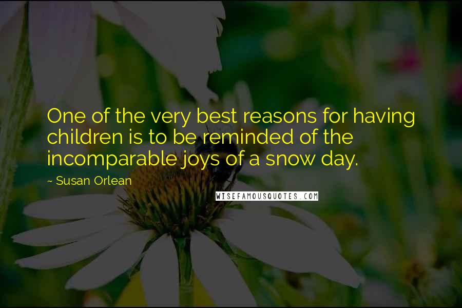 Susan Orlean Quotes: One of the very best reasons for having children is to be reminded of the incomparable joys of a snow day.