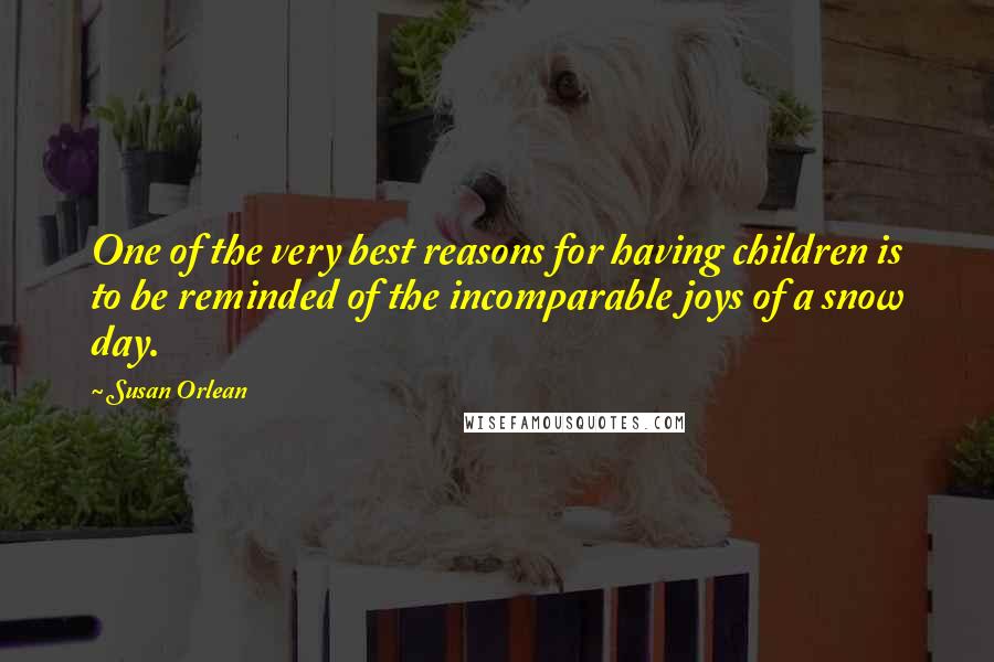 Susan Orlean Quotes: One of the very best reasons for having children is to be reminded of the incomparable joys of a snow day.