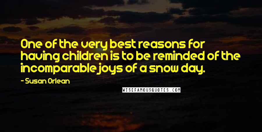 Susan Orlean Quotes: One of the very best reasons for having children is to be reminded of the incomparable joys of a snow day.