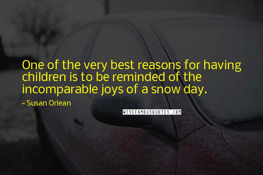 Susan Orlean Quotes: One of the very best reasons for having children is to be reminded of the incomparable joys of a snow day.