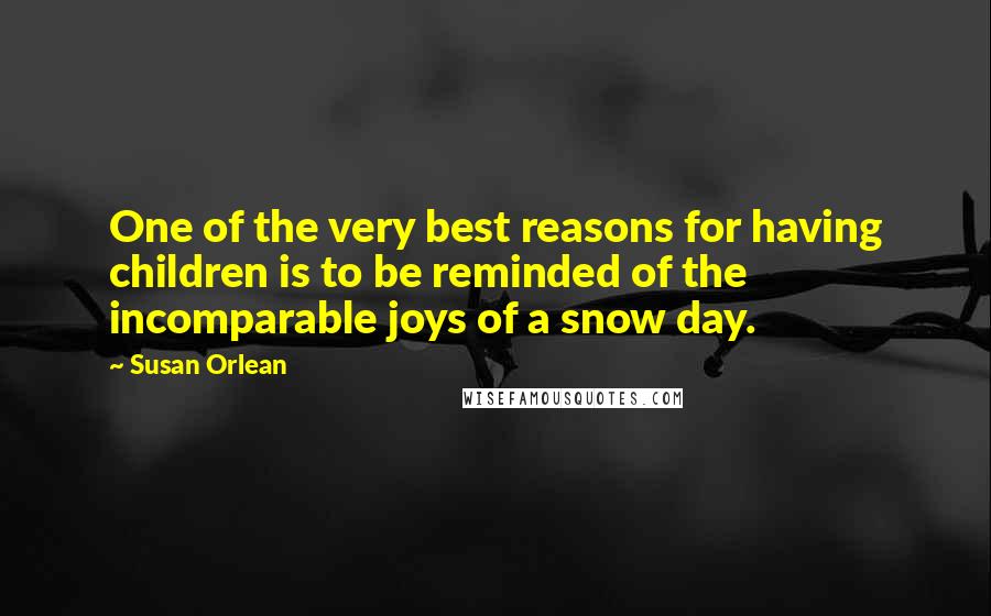 Susan Orlean Quotes: One of the very best reasons for having children is to be reminded of the incomparable joys of a snow day.