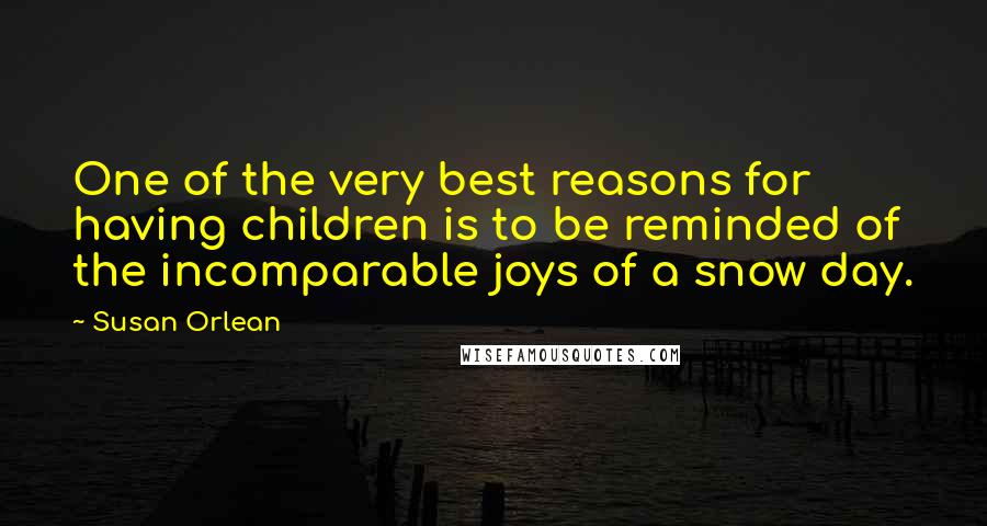 Susan Orlean Quotes: One of the very best reasons for having children is to be reminded of the incomparable joys of a snow day.