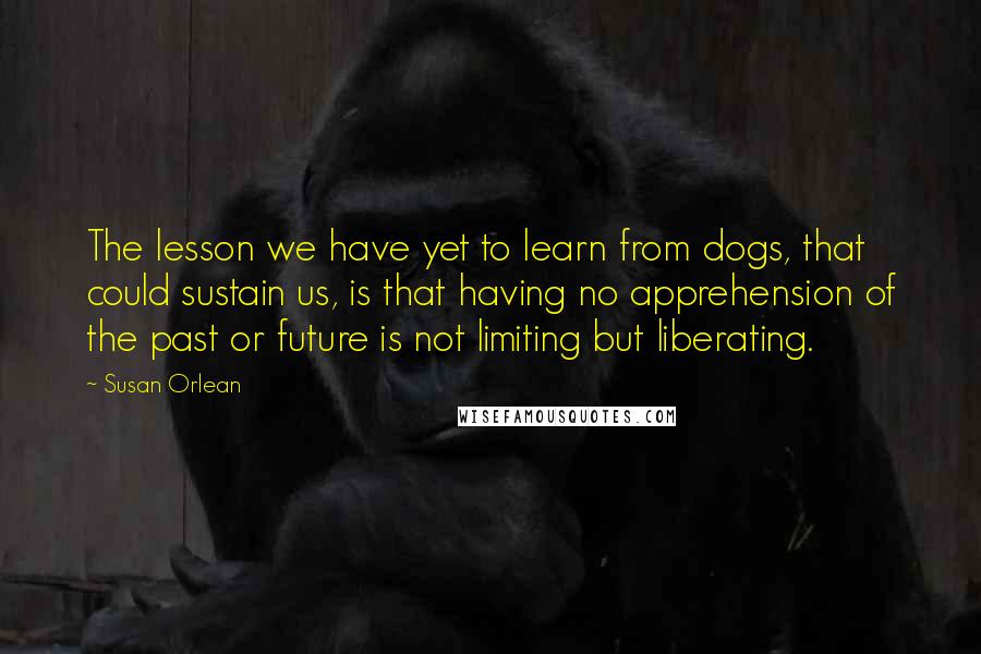 Susan Orlean Quotes: The lesson we have yet to learn from dogs, that could sustain us, is that having no apprehension of the past or future is not limiting but liberating.