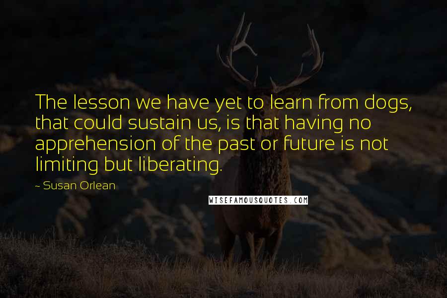 Susan Orlean Quotes: The lesson we have yet to learn from dogs, that could sustain us, is that having no apprehension of the past or future is not limiting but liberating.