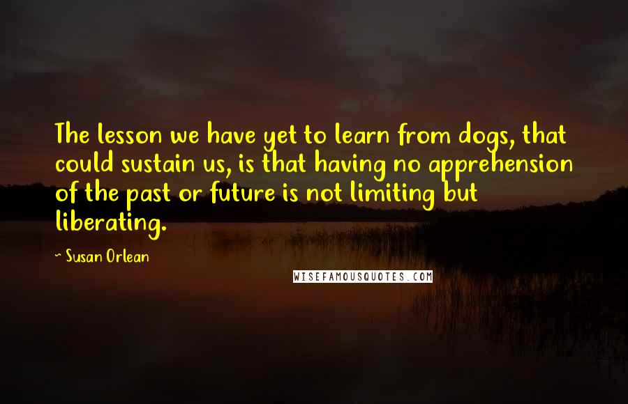 Susan Orlean Quotes: The lesson we have yet to learn from dogs, that could sustain us, is that having no apprehension of the past or future is not limiting but liberating.