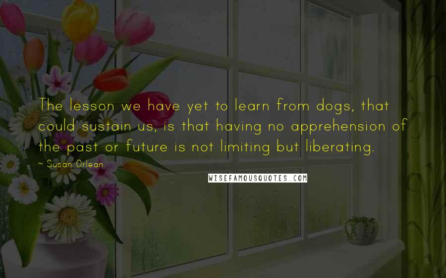 Susan Orlean Quotes: The lesson we have yet to learn from dogs, that could sustain us, is that having no apprehension of the past or future is not limiting but liberating.