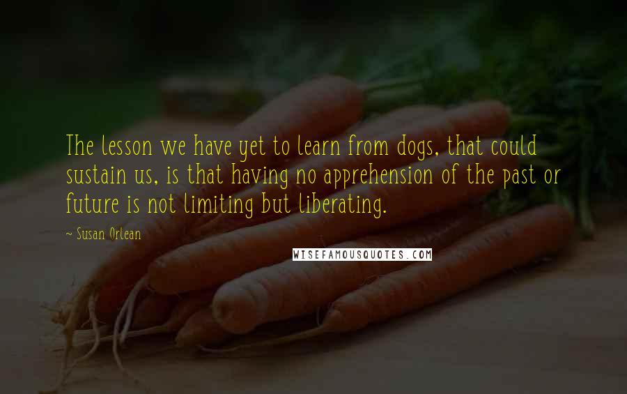 Susan Orlean Quotes: The lesson we have yet to learn from dogs, that could sustain us, is that having no apprehension of the past or future is not limiting but liberating.