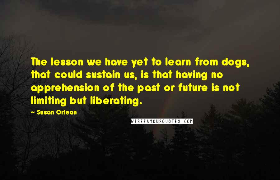 Susan Orlean Quotes: The lesson we have yet to learn from dogs, that could sustain us, is that having no apprehension of the past or future is not limiting but liberating.