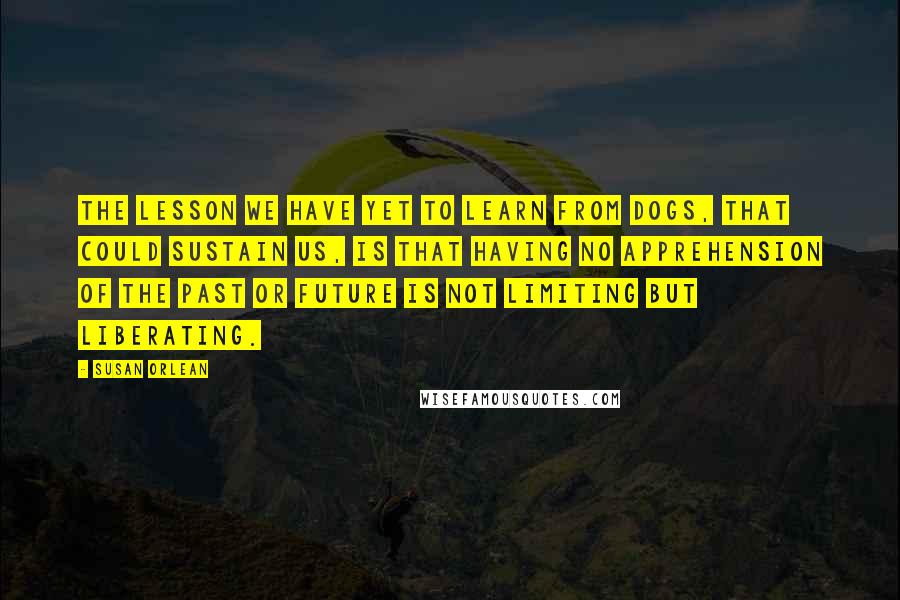 Susan Orlean Quotes: The lesson we have yet to learn from dogs, that could sustain us, is that having no apprehension of the past or future is not limiting but liberating.