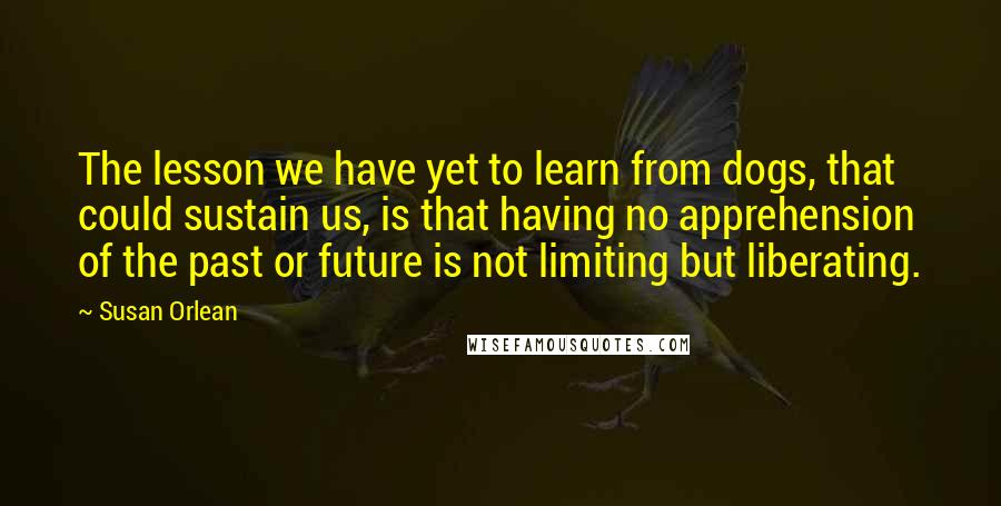 Susan Orlean Quotes: The lesson we have yet to learn from dogs, that could sustain us, is that having no apprehension of the past or future is not limiting but liberating.