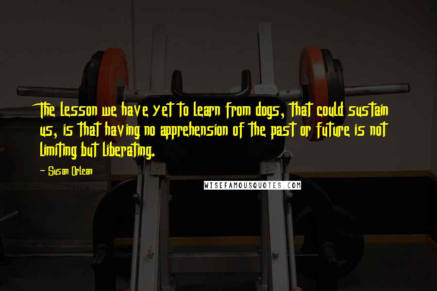 Susan Orlean Quotes: The lesson we have yet to learn from dogs, that could sustain us, is that having no apprehension of the past or future is not limiting but liberating.