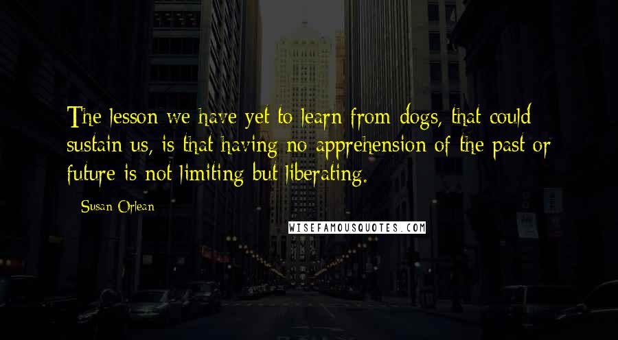 Susan Orlean Quotes: The lesson we have yet to learn from dogs, that could sustain us, is that having no apprehension of the past or future is not limiting but liberating.