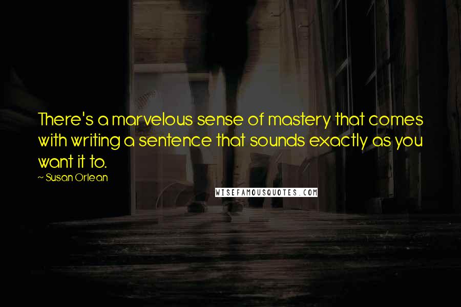 Susan Orlean Quotes: There's a marvelous sense of mastery that comes with writing a sentence that sounds exactly as you want it to.