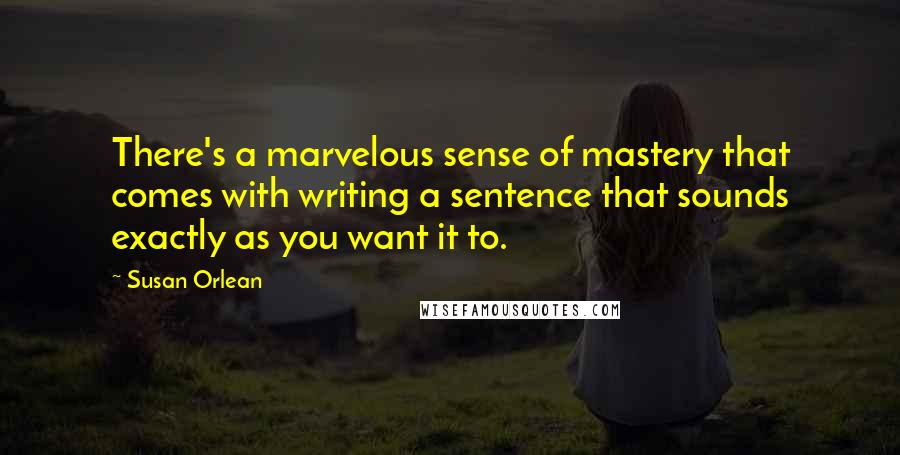 Susan Orlean Quotes: There's a marvelous sense of mastery that comes with writing a sentence that sounds exactly as you want it to.