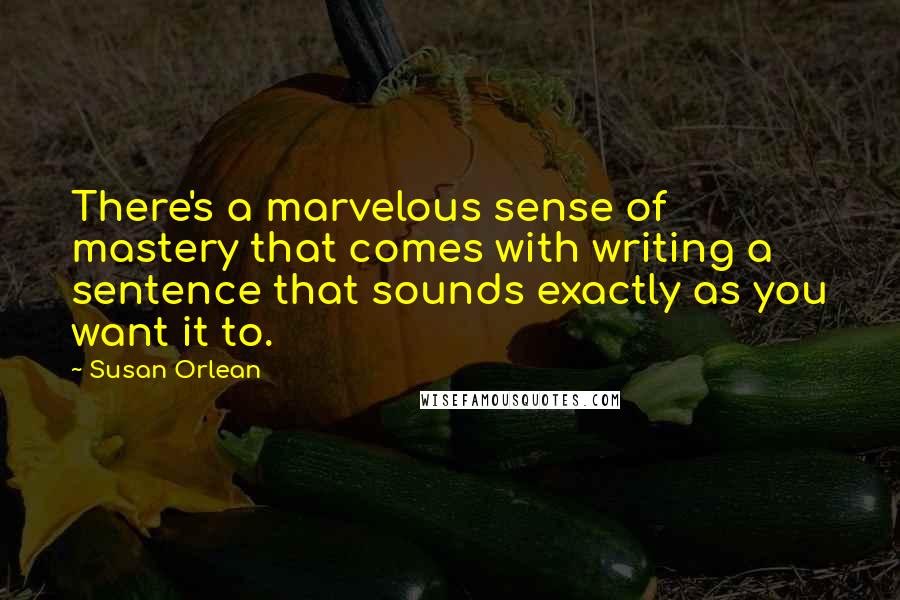 Susan Orlean Quotes: There's a marvelous sense of mastery that comes with writing a sentence that sounds exactly as you want it to.