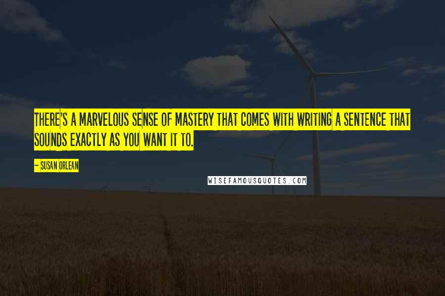 Susan Orlean Quotes: There's a marvelous sense of mastery that comes with writing a sentence that sounds exactly as you want it to.