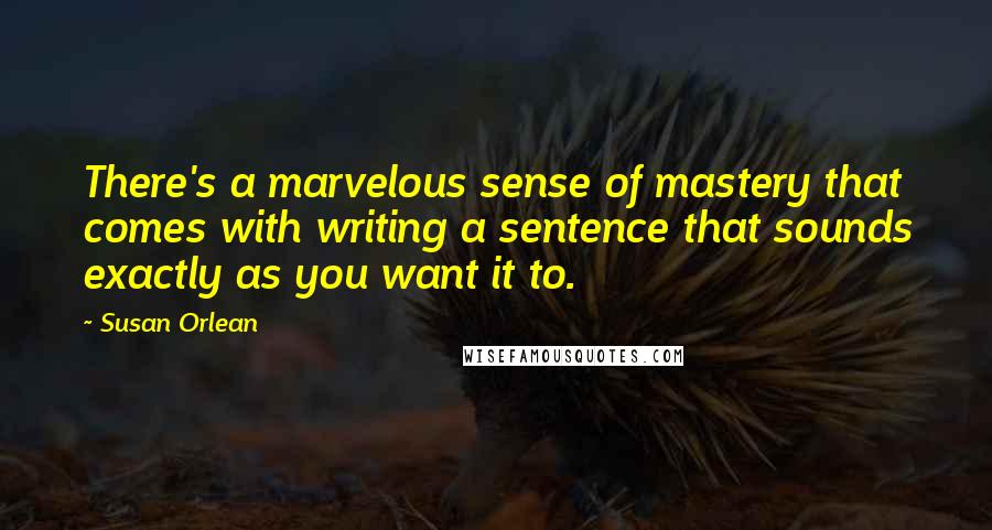 Susan Orlean Quotes: There's a marvelous sense of mastery that comes with writing a sentence that sounds exactly as you want it to.