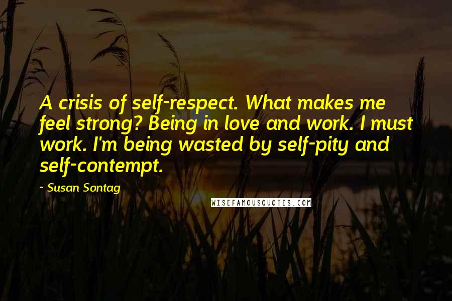 Susan Sontag Quotes: A crisis of self-respect. What makes me feel strong? Being in love and work. I must work. I'm being wasted by self-pity and self-contempt.