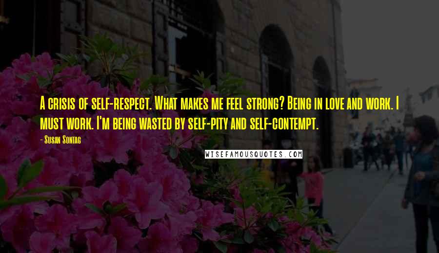 Susan Sontag Quotes: A crisis of self-respect. What makes me feel strong? Being in love and work. I must work. I'm being wasted by self-pity and self-contempt.