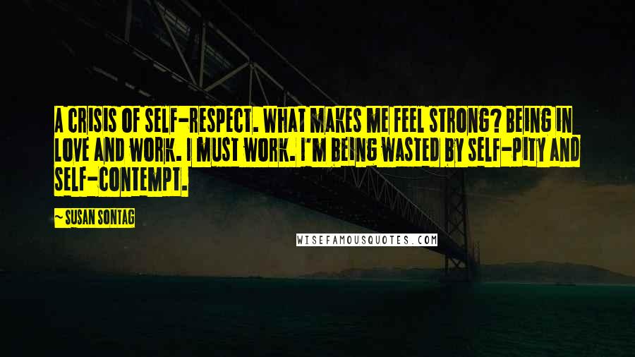 Susan Sontag Quotes: A crisis of self-respect. What makes me feel strong? Being in love and work. I must work. I'm being wasted by self-pity and self-contempt.