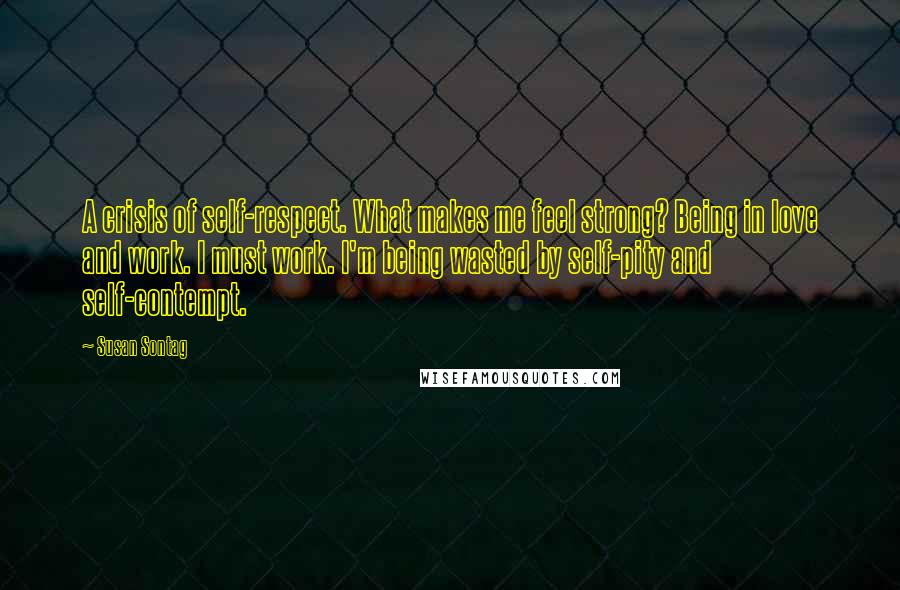 Susan Sontag Quotes: A crisis of self-respect. What makes me feel strong? Being in love and work. I must work. I'm being wasted by self-pity and self-contempt.