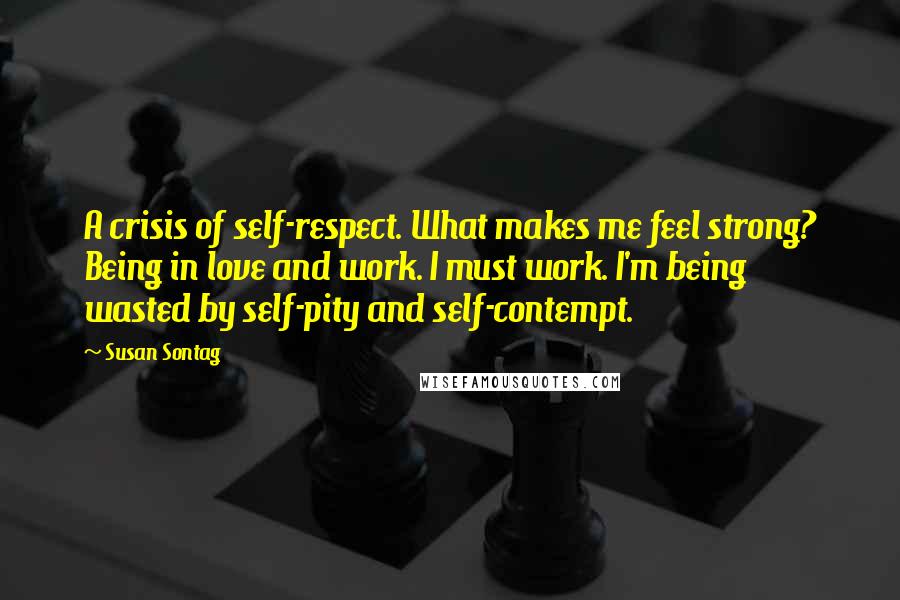 Susan Sontag Quotes: A crisis of self-respect. What makes me feel strong? Being in love and work. I must work. I'm being wasted by self-pity and self-contempt.