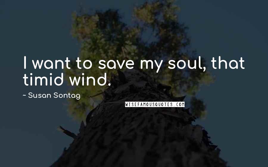Susan Sontag Quotes: I want to save my soul, that timid wind.