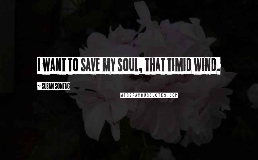 Susan Sontag Quotes: I want to save my soul, that timid wind.