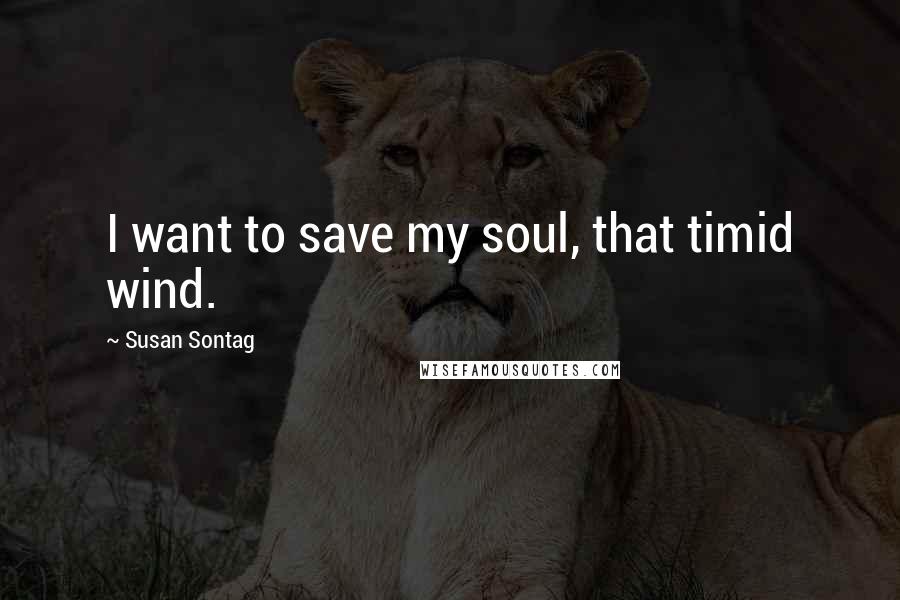 Susan Sontag Quotes: I want to save my soul, that timid wind.