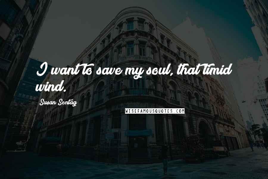 Susan Sontag Quotes: I want to save my soul, that timid wind.