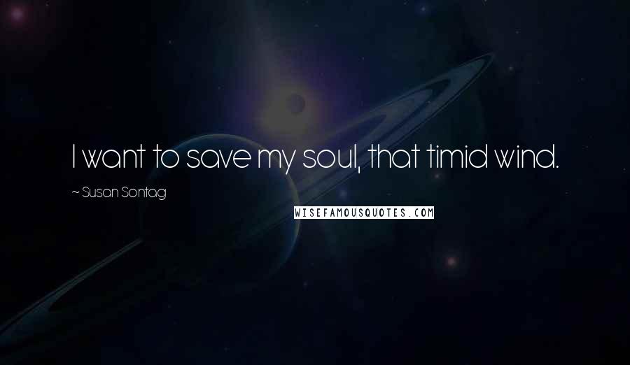Susan Sontag Quotes: I want to save my soul, that timid wind.