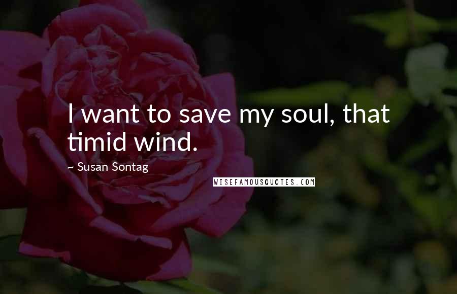 Susan Sontag Quotes: I want to save my soul, that timid wind.
