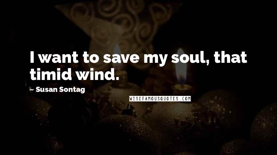 Susan Sontag Quotes: I want to save my soul, that timid wind.