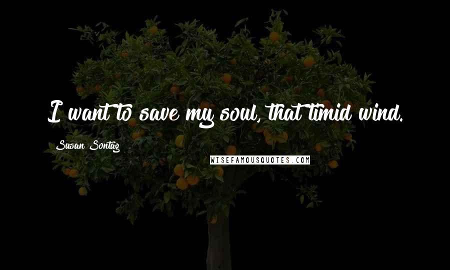 Susan Sontag Quotes: I want to save my soul, that timid wind.