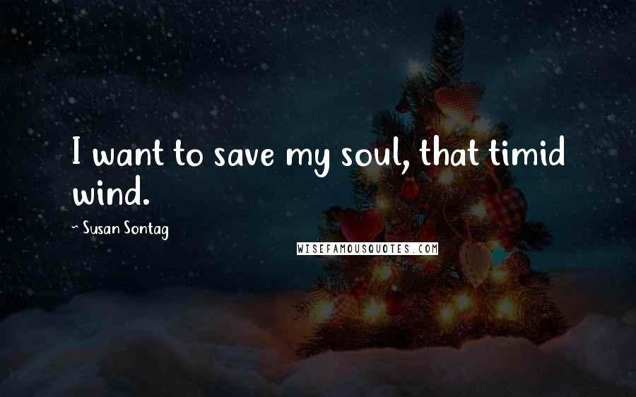 Susan Sontag Quotes: I want to save my soul, that timid wind.