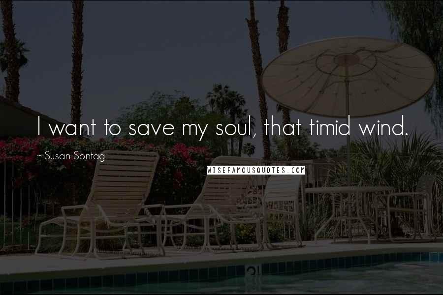 Susan Sontag Quotes: I want to save my soul, that timid wind.