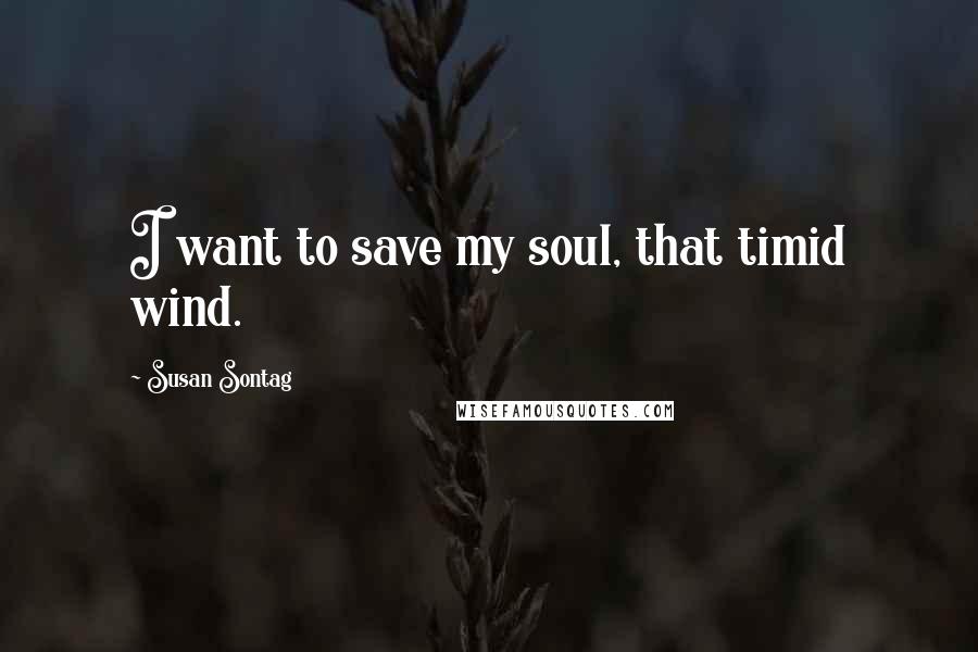 Susan Sontag Quotes: I want to save my soul, that timid wind.