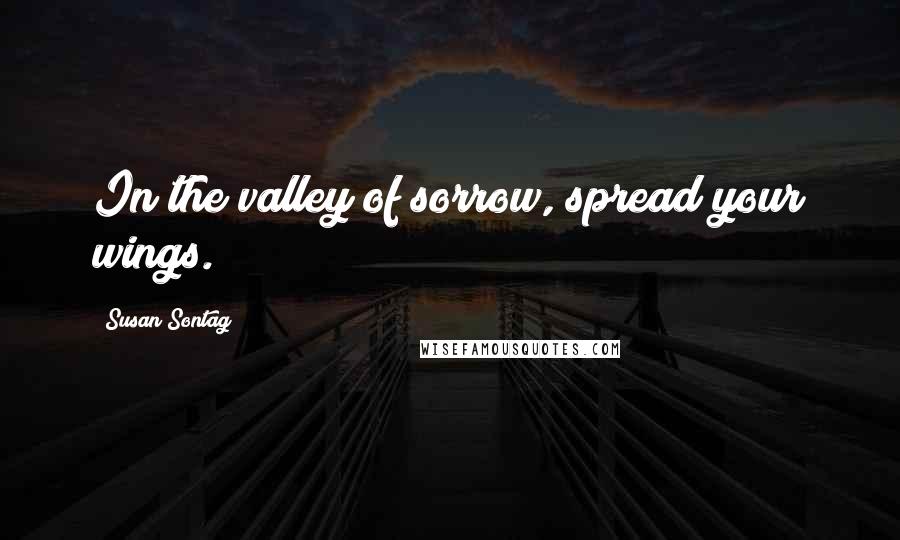 Susan Sontag Quotes: In the valley of sorrow, spread your wings.