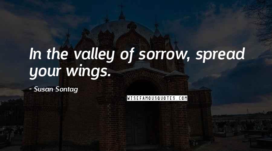 Susan Sontag Quotes: In the valley of sorrow, spread your wings.