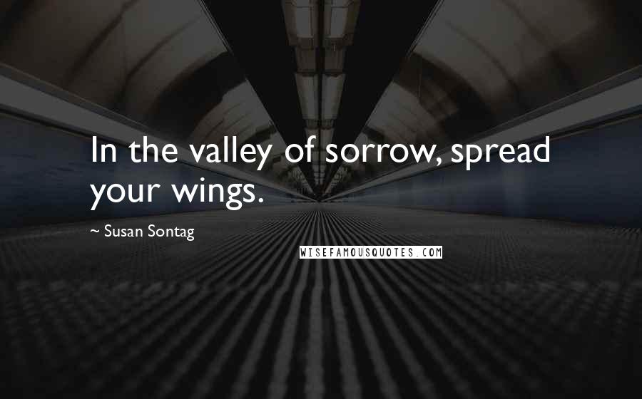 Susan Sontag Quotes: In the valley of sorrow, spread your wings.