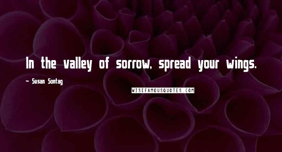 Susan Sontag Quotes: In the valley of sorrow, spread your wings.