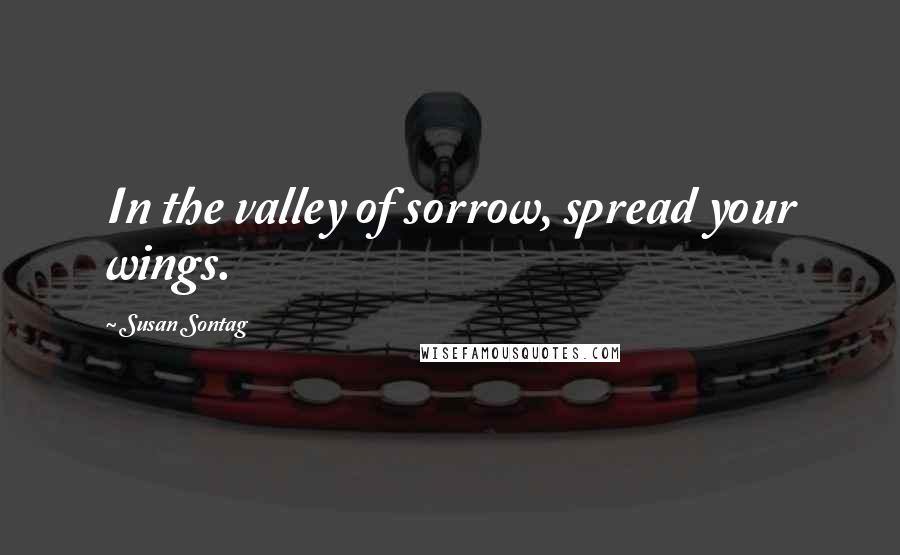 Susan Sontag Quotes: In the valley of sorrow, spread your wings.