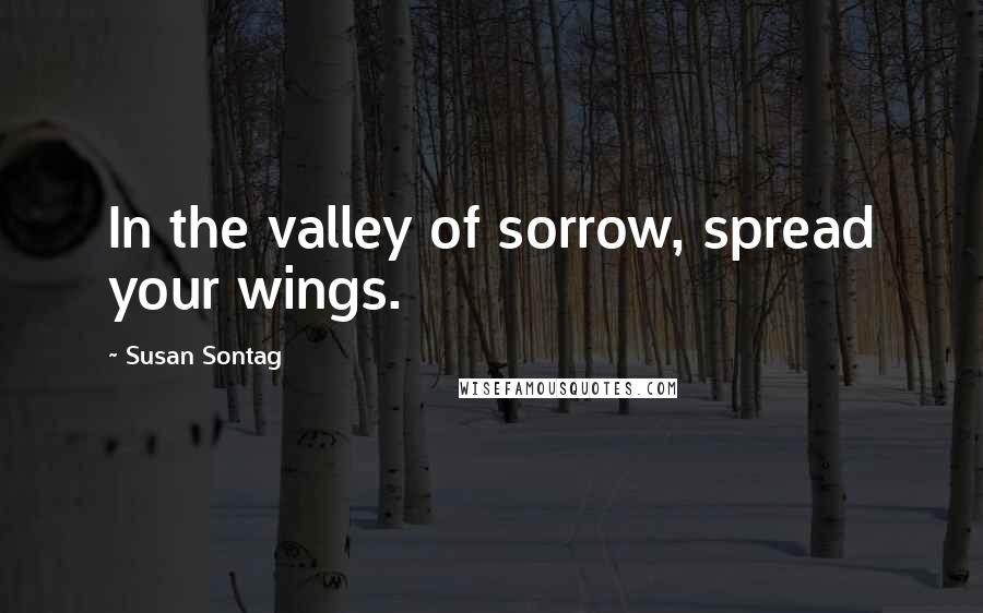 Susan Sontag Quotes: In the valley of sorrow, spread your wings.