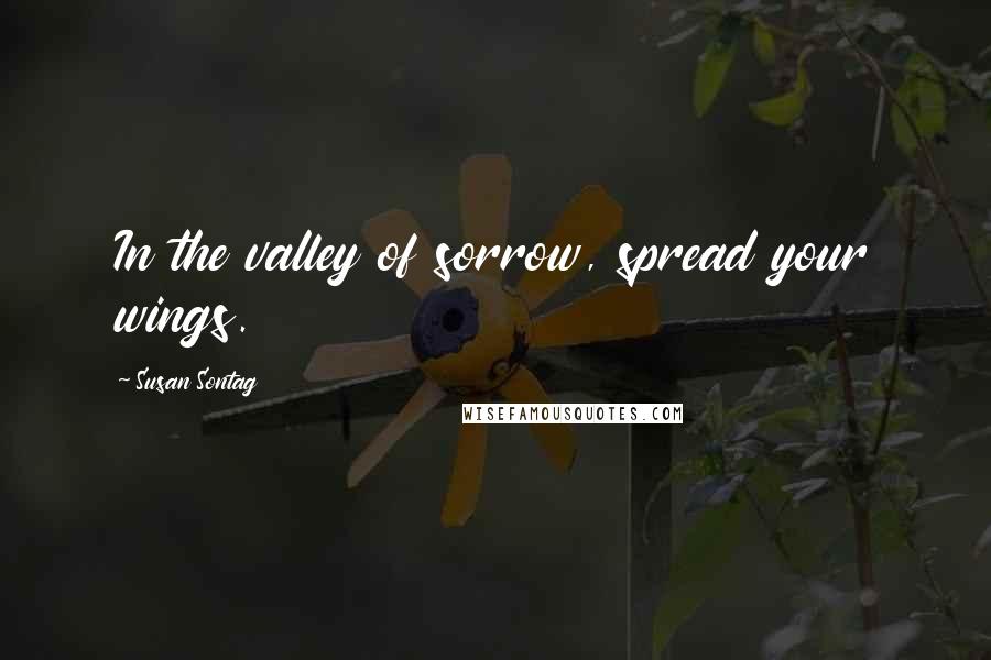 Susan Sontag Quotes: In the valley of sorrow, spread your wings.