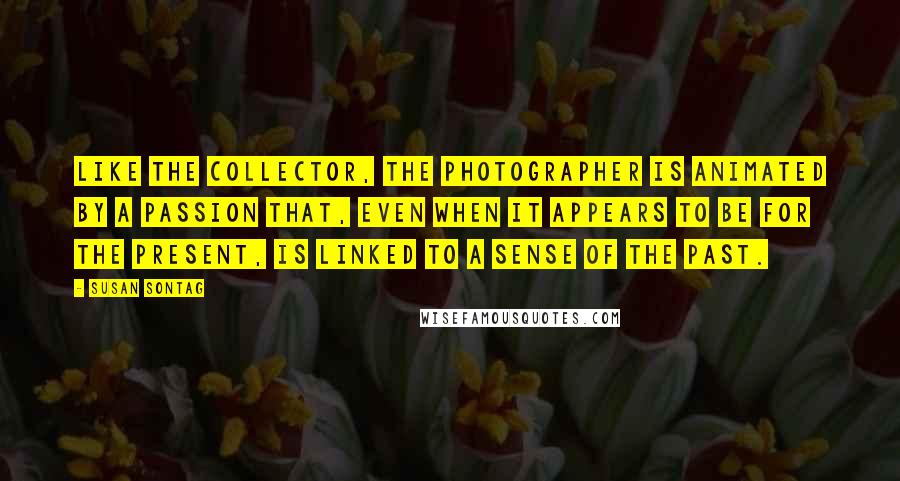 Susan Sontag Quotes: Like the collector, the photographer is animated by a passion that, even when it appears to be for the present, is linked to a sense of the past.