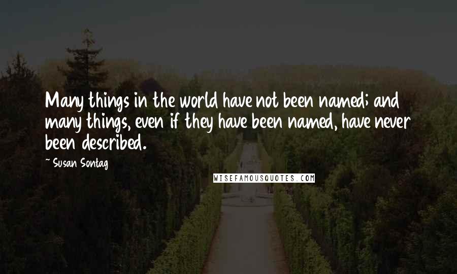 Susan Sontag Quotes: Many things in the world have not been named; and many things, even if they have been named, have never been described.