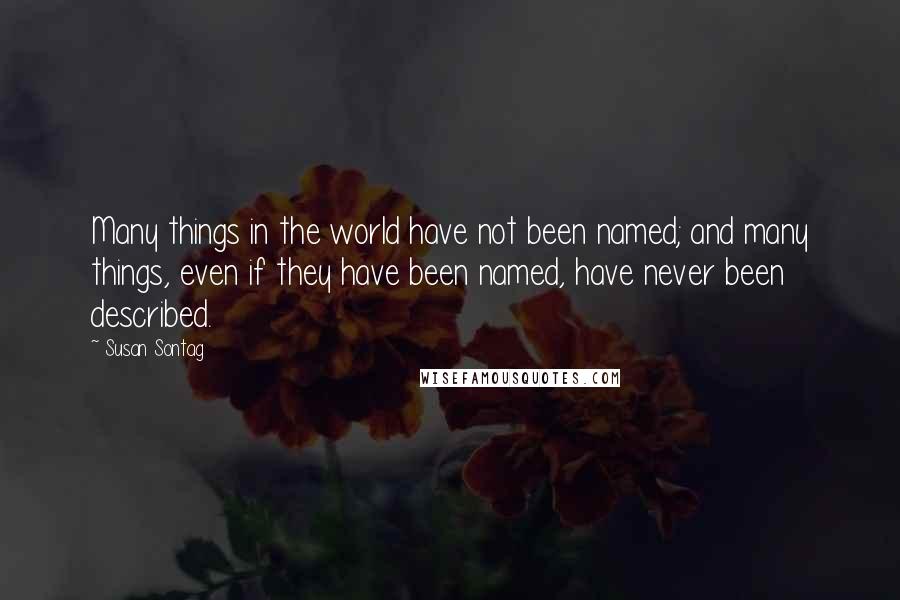 Susan Sontag Quotes: Many things in the world have not been named; and many things, even if they have been named, have never been described.