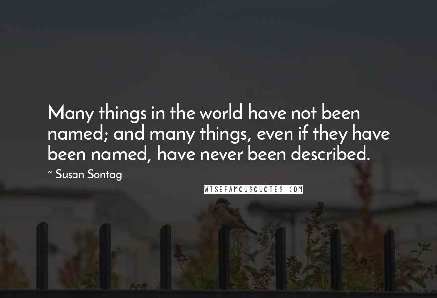 Susan Sontag Quotes: Many things in the world have not been named; and many things, even if they have been named, have never been described.