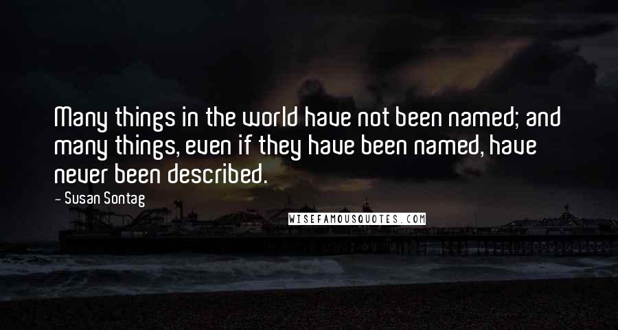 Susan Sontag Quotes: Many things in the world have not been named; and many things, even if they have been named, have never been described.