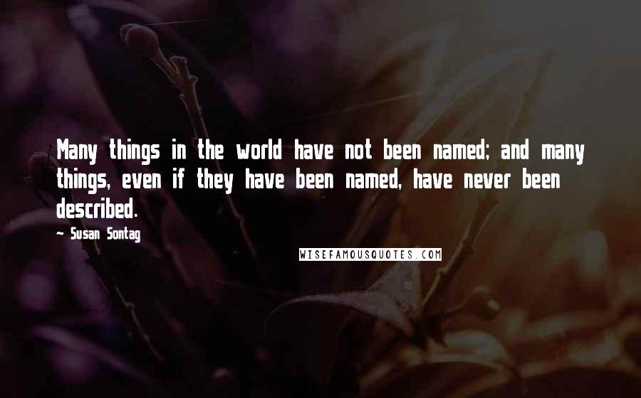 Susan Sontag Quotes: Many things in the world have not been named; and many things, even if they have been named, have never been described.